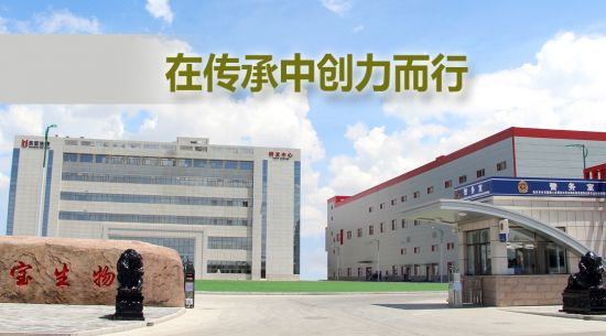 �ڴ����д������� ��Ӯ�������ﱻ���衰���ɹ����ֺš��ƺ�