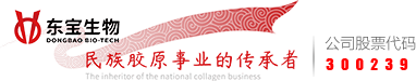 ��Ӯ��������